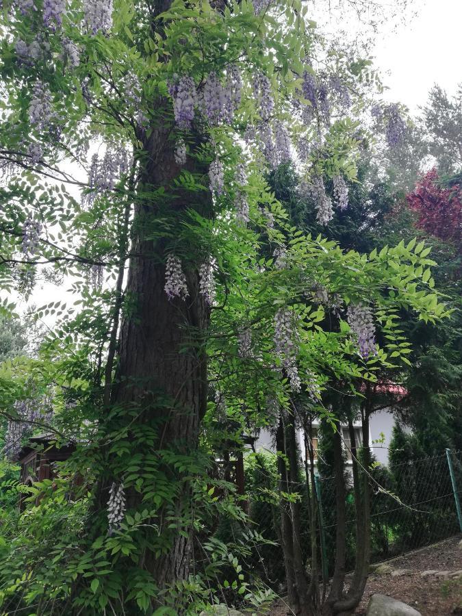 Kaszuby Dom Nad Jeziorem Szczytno Duze Villa Dobrzyn  Bagian luar foto